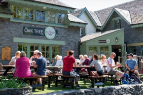 Гостиница Oak Tree Inn  Балмаха